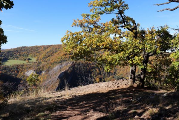 Svatý Jan pod Skalou, 20.10.2021
Vyhlídka u Kříže.
Schlüsselwörter: Český kras Svatý Jan pod Skalou Kříž Na mramoru