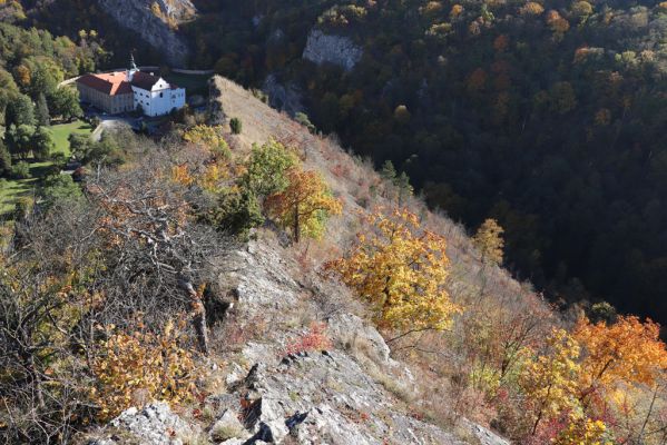 Svatý Jan pod Skalou, 20.10.2021
Svah pod vyhlídkou Na mramoru - pohled na klášter benediktinů.
Keywords: Český kras Svatý Jan pod Skalou Na mramoru klášter benediktinů