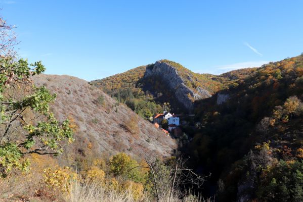 Svatý Jan pod Skalou, 20.10.2021
Svah pod vyhlídkou Na mramoru - pohled na klášter benediktinů.
Schlüsselwörter: Český kras Svatý Jan pod Skalou Na mramoru klášter benediktinů