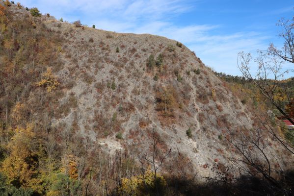 Svatý Jan pod Skalou, 20.10.2021
Vrch Třesina - pohled na svah pod vyhlídkou Na mramoru.
Keywords: Český kras Svatý Jan pod Skalou Třesina Na mramoru