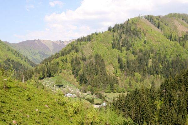 Staré Hory, 2.5.2012
Vrch Klopačka - severní svah. Pohled na holosečné hospodaření Národního parku Veľká Fatra. 
Schlüsselwörter: Staré Hory vrch Klopačka Veľká Fatra