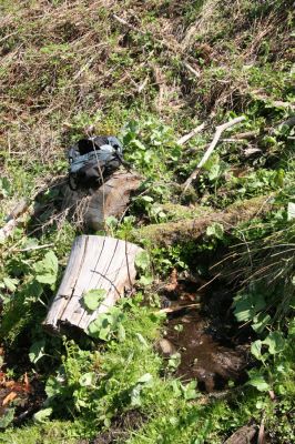 Staré Hory, 2.5.2012
Vrch Klopačka - severozápadní svah.
Klíčová slova: Staré Hory vrch Klopačka Ampedus aethiops pomorum tristis