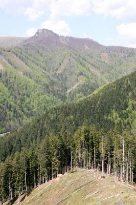 Staré Hory, 2.5.2012
Vrch Klopačka - severozápadní hřbet. V pozadí Majerova skala.
Klíčová slova: Staré Hory vrch Klopačka Veľká Fatra Majerova skala