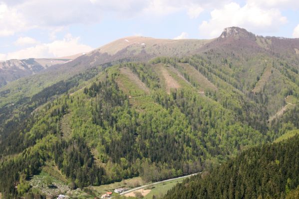 Staré Hory, 2.5.2012
Vrch Klopačka - pohled na Majerovu skalu. Holosečné hospodaření v Národním parku Veľká Fatra.
Mots-clés: Staré Hory vrch Klopačka Veľká Fatra Majerova skala