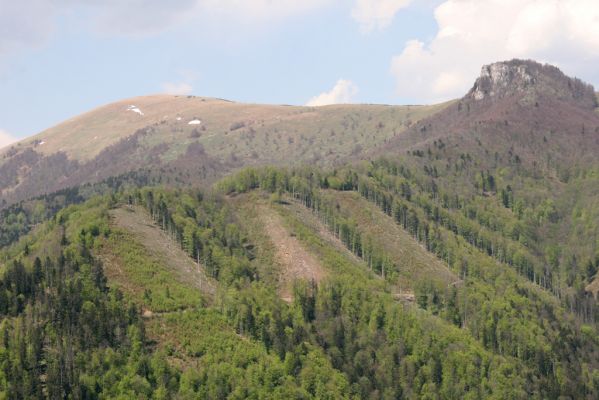 Staré Hory, 2.5.2012
Vrch Klopačka - pohled na Majerovu skalu. Holosečné hospodaření v Národním parku Veľká Fatra.
Mots-clés: Staré Hory vrch Klopačka Veľká Fatra Majerova skala