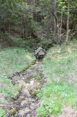 Staré Hory, 2.5.2012
Studánka z Staré Píly.
Klíčová slova: Staré Hory Starohorská dolina Stará Píla Melanotus punctolineatus