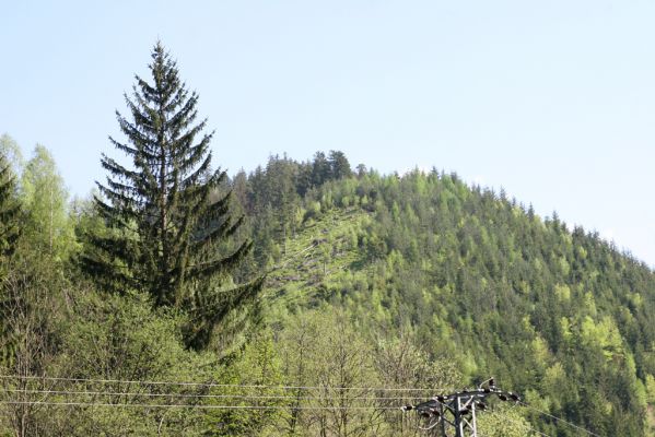 Staré Hory, 2.5.2012
Stará Píla - pohled na jih. Holoseč nad Starohorskou dolinou.
Klíčová slova: Staré Hory Starohorská dolina Veľká Zelená