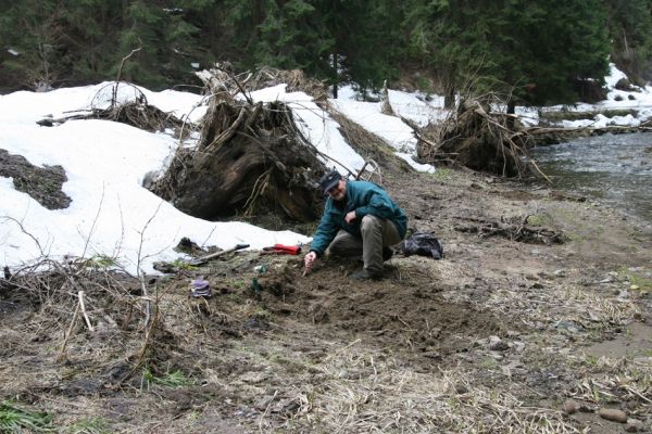Staré Hamry, Černá, 14.4.2012
Meandry Černé Ostravice. Biotop kovaříka Ctenicera heyeri.
Klíčová slova: Beskydy Staré Hamry Černá Ostravice Ctenicera heyeri Dušánek