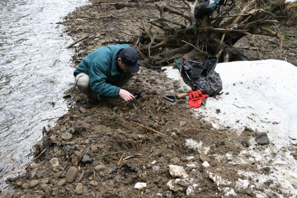 Staré Hamry, Černá, 14.4.2012
Meandry Černé Ostravice. Biotop kovaříka Ctenicera heyeri.
Klíčová slova: Beskydy Staré Hamry Černá Ostravice Ctenicera heyeri Dušánek