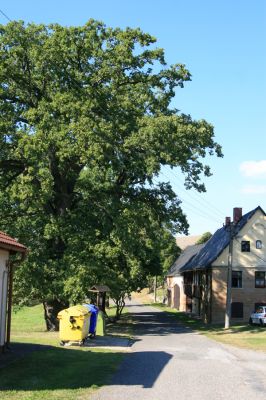 Stanovice, 26.9.2016
Duby ve Stanovicích.



Klíčová slova: Stanovice Duby ve Stanovicích