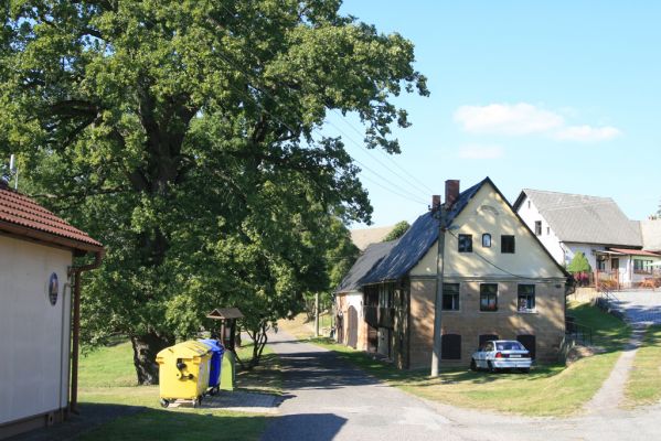 Stanovice, 26.9.2016
Duby ve Stanovicích.


Klíčová slova: Stanovice Duby ve Stanovicích