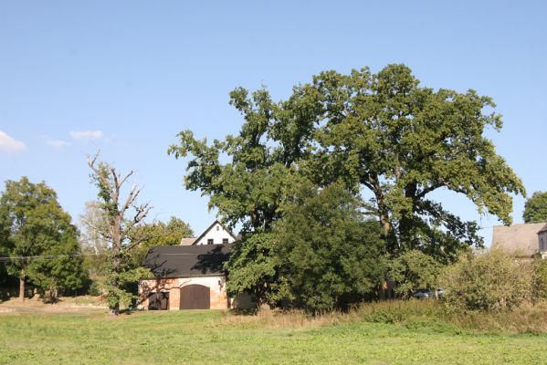 Stanovice, 26.9.2016
Duby ve Stanovicích.



Klíčová slova: Stanovice Duby ve Stanovicích