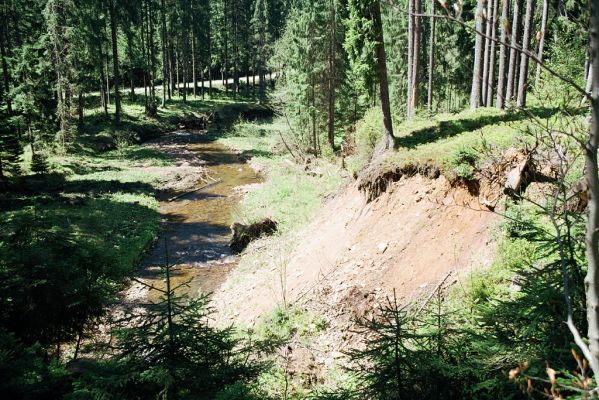 Staré Hamry, Černá, 21.5.2005
Meandry Černé Ostravice.


Klíčová slova: Staré Hamry Černá Ostravice Anostirus purpureus