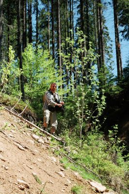 Staré Hamry, Černá, 21.5.2005
Meandry Černé Ostravice. Kolega Bořivoj Zbuzek loví kovaříky Anostirus purpureus.


Klíčová slova: Staré Hamry Černá Ostravice Anostirus purpureus Bořivoj Zbuzek