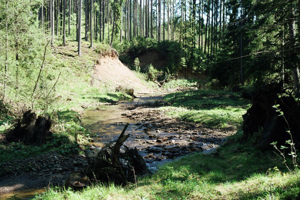 Staré Hamry, Černá, 21.5.2005
Meandry Černé Ostravice.


Mots-clés: Staré Hamry Černá Ostravice Anostirus purpureus