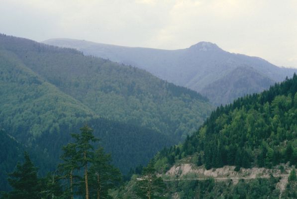 Staré Hory, 12.5.1997
Pohled z holoseče nad Velkou Zelenou na dolinu u Starých hor. V Pozadí Krížna a Majerova skala.



Klíčová slova: Staré Hory Velká Zelená