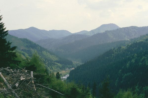 Špania Dolina, 12.5.1997
Pohled z holoseče nad Velkou Zelenou na Polkanovú a Kremnické vrchy.

Keywords: Špania Dolina Polkanová Velká Zelená