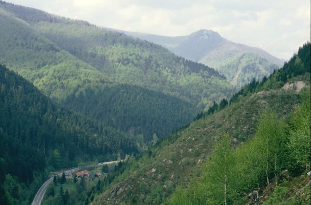 Staré Hory, 12.5.1997
Pohled z holoseče nad Velkou Zelenou na Staré Hory. V pozadí Majerova skala. 



Klíčová slova: Staré Hory Velká zelená
