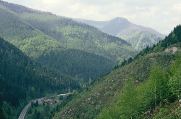 Staré Hory, 12.5.1997
Pohled z holoseče nad Velkou Zelenou na Staré Hory. V pozadí Majerova skala. 



Schlüsselwörter: Staré Hory Velká zelená