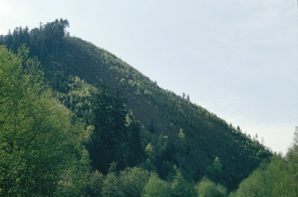 Špania Dolina, 12.5.1997
Holoseč nad Velkou Zelenou. 
Klíčová slova: Špania Dolina Velká Zelená
