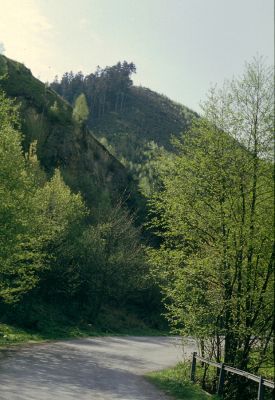 Staré Hory, 12.5.1997
Odpočívadlo před ústím Velké Zelené.



Keywords: Staré Hory Stará Píla Velká Zelená