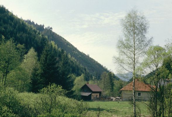 Staré Hory, 12.5.1997
Pohled přes hájovnu Stará Píla na jih na holoseče nad Velkou Zelenou.
Klíčová slova: Staré Hory Stará Píla Velká Zelená holoseč