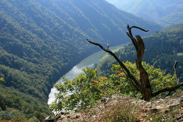 Strečno, Starý hrad, 25.9.2007
Pohled k jihu na Váh ze svahů u Starého hradu.
Schlüsselwörter: Malá Fatra Starý hrad Váh