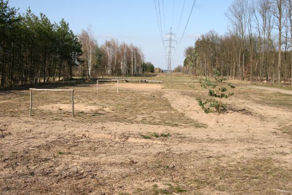 Stéblová, 30.3.2010
Písčité plochy pod elektrovody u písníku Oplatil využívané rekreanty. Domov samotářských včel.
Keywords: Stéblová Oplatil