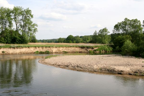 Štěnkov - Petrovičky, 12.5.2009
Meandr řeky Orlice.
Schlüsselwörter: Dolní Poorličí Štěnkov Petrovičky Orlice