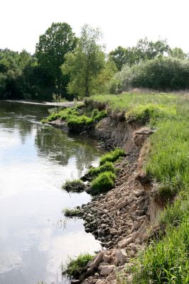 Štěnkov - Petrovičky, 12.5.2009
Meandry Orlice.
Klíčová slova: Dolní Poorličí Štěnkov Petrovičky Orlice