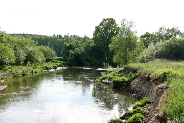 Štěnkov - Petrovičky, 12.5.2009
Meandry řeky Orlice.
Klíčová slova: Dolní Poorličí Štěnkov Petrovičky Orlice