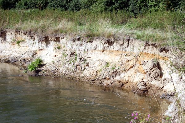 Štěnkov - Petrovičky. řeka Orlice, 14.8.2008
Meandry Orlice mezi Štěnkovem a Petrovičkami.
Schlüsselwörter: Dolní Poorličí Štěnkov Petrovičky Orlice