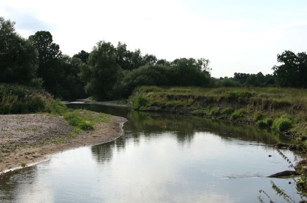 Štěnkov - Petrovičky. řeka Orlice, 14.8.2008
Meandry Orlice mezi Štěnkovem a Petrovičkami.
Keywords: Dolní Poorličí Štěnkov Petrovičky Orlice