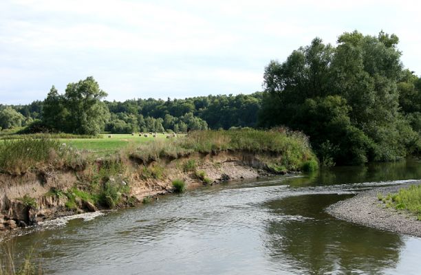 Štěnkov - Petrovičky. řeka Orlice, 14.8.2008
Meandry Orlice mezi Štěnkovem a Petrovičkami.
Keywords: Dolní Poorličí Štěnkov Petrovičky Orlice