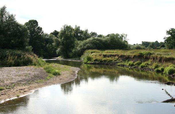 Štěnkov - Petrovičky. řeka Orlice, 14.8.2008
Meandry Orlice mezi Štěnkovem a Petrovičkami.
Keywords: Dolní Poorličí Štěnkov Petrovičky Orlice