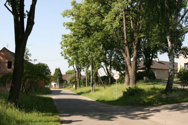 Třebechovice pod Orebem, Štěnkov, 26.5.2009
Lípa na návsi s výletovými otvory krasců lipových.
Klíčová slova: Třebechovice pod Orebem Štěnkov Lamprodila rutilans krasec lipový