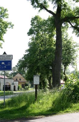 Třebechovice pod Orebem, Štěnkov, 26.5.2009
Lípa na návsi s výletovými otvory krasců lipových.
Klíčová slova: Třebechovice pod Orebem Štěnkov Lamprodila rutilans krasec lipový