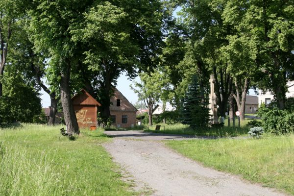 Třebechovice pod Orebem, Štěnkov, 26.5.2009
Líp na návsi osídlené krasci lipovými.
Mots-clés: Třebechovice pod Orebem Štěnkov Lamprodila rutilans krasec lipový