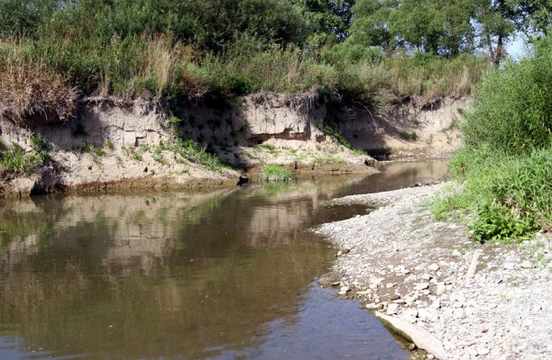 Štěpánovsko, řeka Orlice, 14.8.2008
Meandry Orlice mezi Týništěm nad Orlicí a Štěpánovskem.
Mots-clés: Dolní Poorličí Týniště nad Orlicí Štěpánovsko Orlice