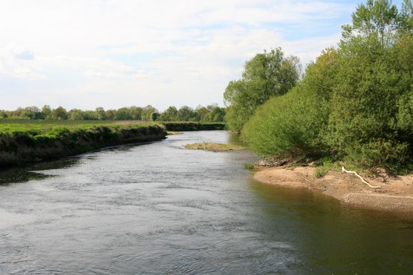 Štěpánovsko, řeka Orlice, 7.5.2008
Meandry Orlice mezi Týništěm nad Orlicí a Štěpánovskem.
Keywords: Dolní Poorličí Týniště nad Orlicí Štěpánovsko Orlice