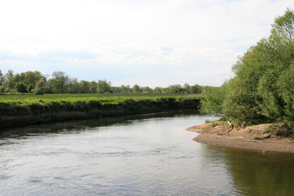 Štěpánovsko, řeka Orlice, 7.5.2008
Meandry Orlice mezi Týništěm nad Orlicí a Štěpánovskem.
Keywords: Dolní Poorličí Týniště nad Orlicí Štěpánovsko Orlice