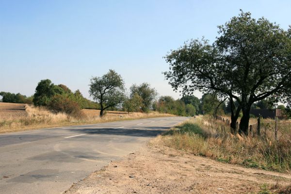 Stěžírky, 23.9.2009
Třešňová alej u obce Stěžírky.
Schlüsselwörter: Stěžírky Anthaxia candens