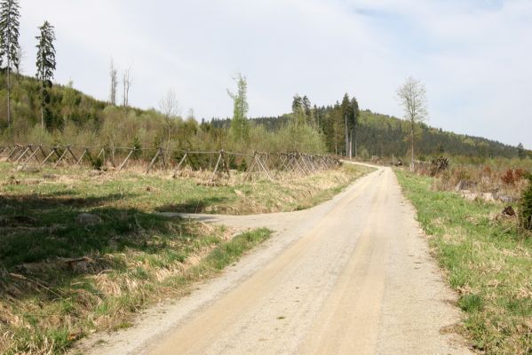 Stožec, 29.4.2011
Povalka pod Stožečkem. V pozadí Stožec (1065m).
Klíčová slova: Stožec Šumava Stožeček Povalka