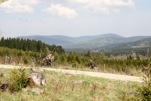 Stožec, 29.4.2011
Povalka pod Stožečkem. Pohled na Boubín.
Keywords: Stožec Šumava Stožeček Povalka Boubín