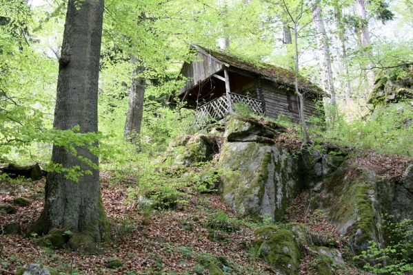 Stožec, 29.4.2011
Stožec - severovýchodní svah.
Schlüsselwörter: Stožec Šumava vrch Stožec prales lovecká chata