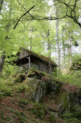 Stožec, 29.4.2011
Stožec - severovýchodní svah. Lovecká chata.
Mots-clés: Stožec Šumava vrch Stožec prales lovecká chata