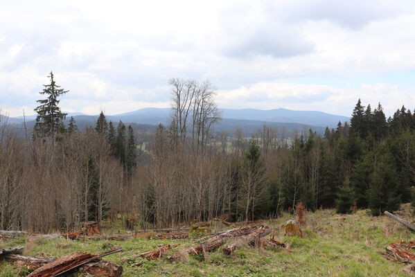 Stožec, 30.4.2023
Šumava, Stožec, holoseč na jižním svahu.
Mots-clés: Stožec Šumava vrch Stožec Ampedus aethiops balteatus karpathicus pomorum tristis Danosoma fasciatum fasciata