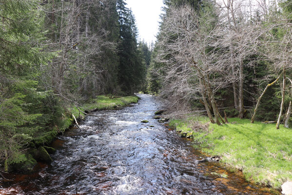 Stožec, 30.4.2023
Studená Vltava pod Stožcem.
Schlüsselwörter: Stožec Šumava Studená Vltava