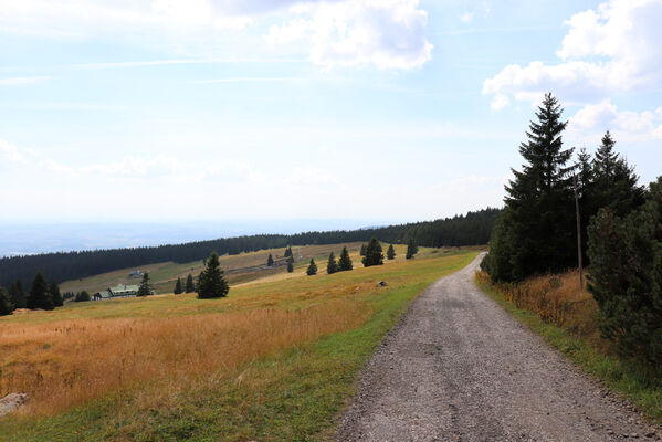 Strážné, 17.8.2022
Zadní Rennerovky.
Keywords: Krkonoše Strážné Zadní Rennerovky