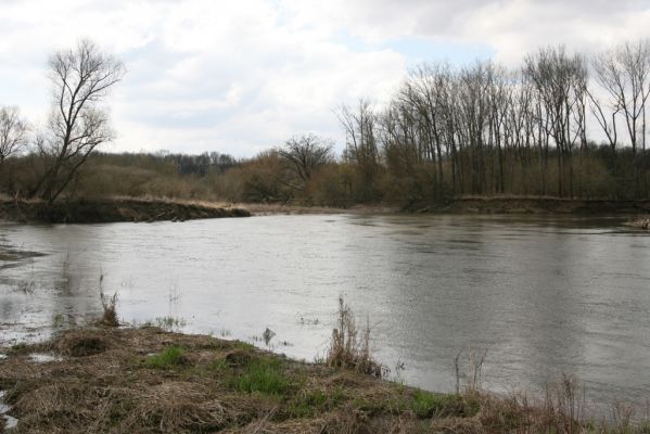 Strážnice, 7.4.2015
Řeka Morava - Osypané břehy - protržený meandr.



Schlüsselwörter: Strážnice Osypané břehy